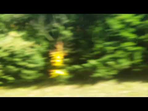 გერმანია - ჩეხეთი