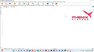Daily report in phenix 10