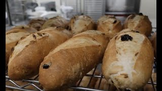 Penn College baking students enjoy fresh 'ingredients'