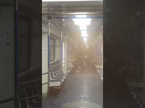 ვიდეო: Admir alteyskaya მეტროსადგური სანკტ-პეტერბურგში