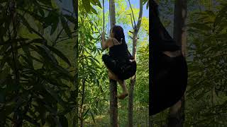 Famous 🦍Help me, there are gorillas here! 😱 #survival #bushcraft #camping Wealth