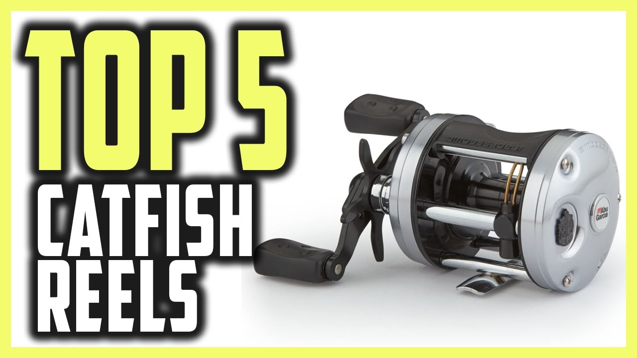 Best Catfish Reels of 2021  Top Rated 5 Best Reels for Catfish