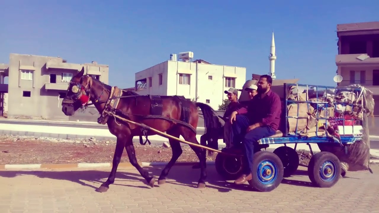 Bura Reyhanlı - Gökhan Arslan