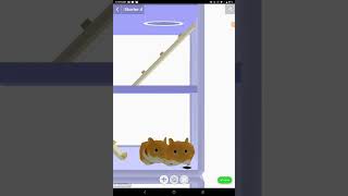 Hammy Home My Personal Gameplay