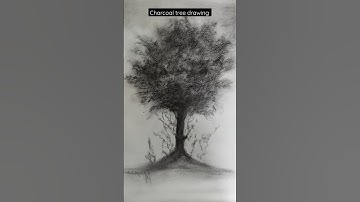 Charcoal tree drawing #drawing #charcoaldrawing #painting #tree #shorts