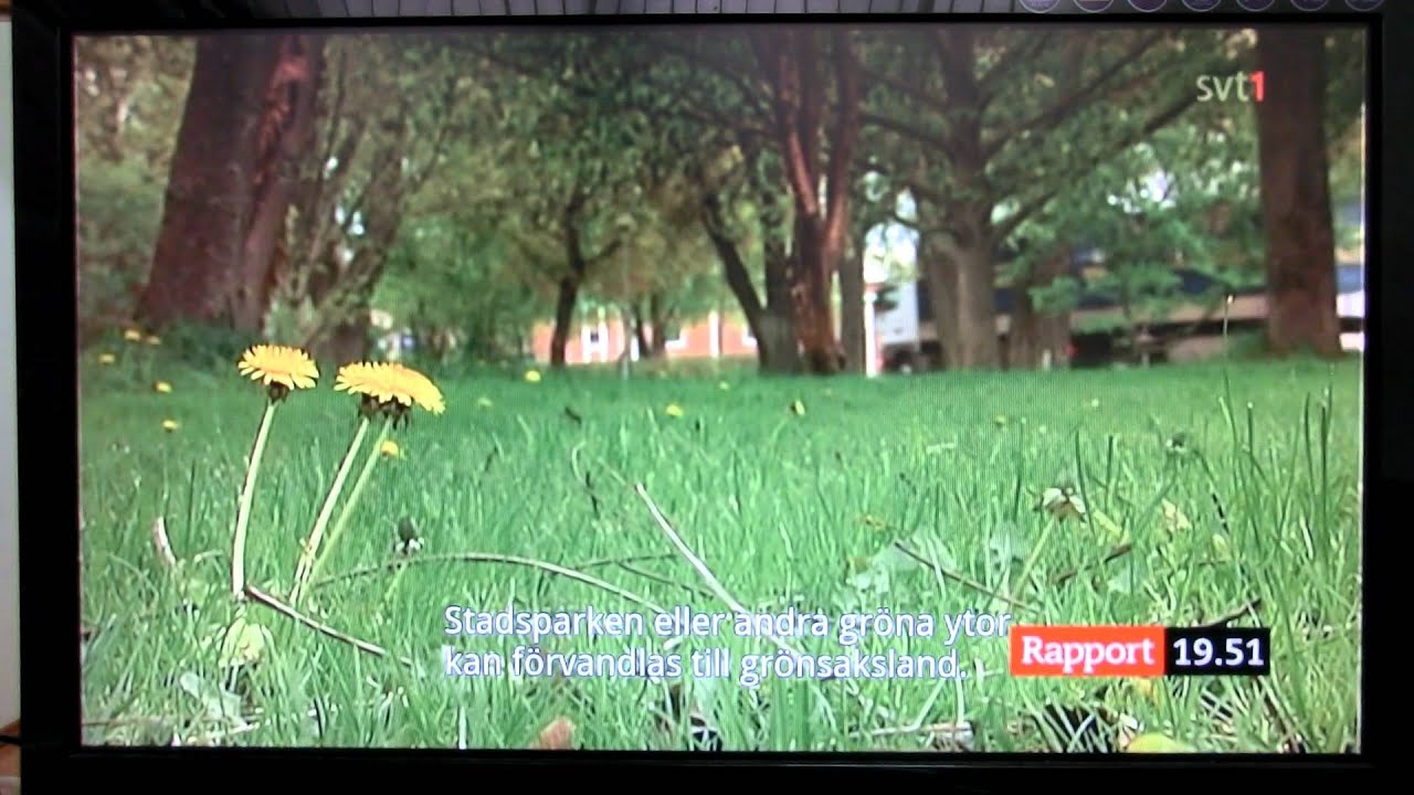 NetUP Android IPTV Teletext and Subtitile demo