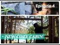 I found an old cabin on my property   plus new cozy cabin build ep4 in super remote wilderness