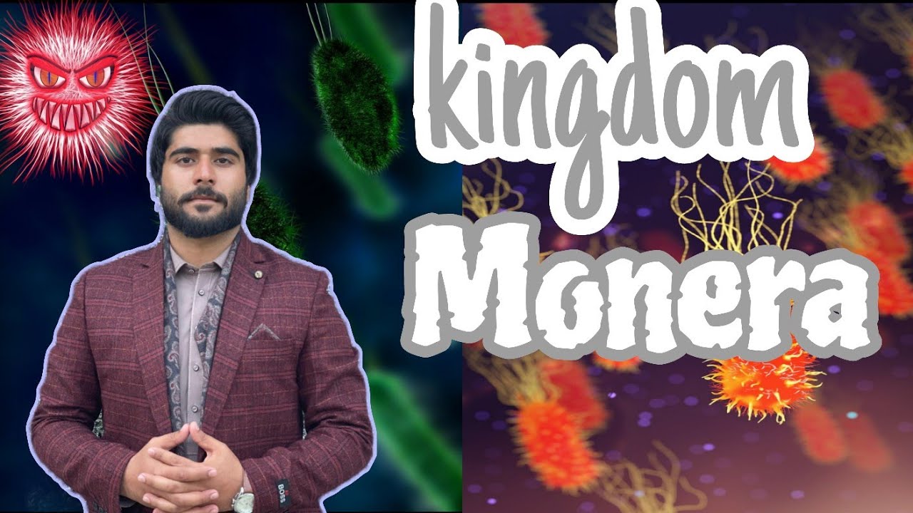 Five kingdoms system of classification/kingdom Monera/ prokaryotae