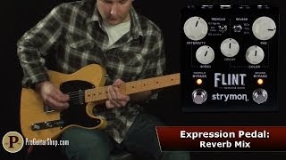 Strymon Flint - Tremolo & Reverb