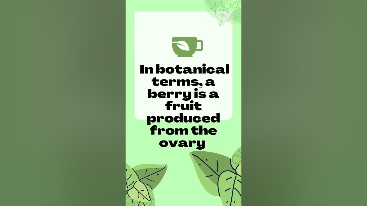 Bananas Are Berries, but Strawberries Aren't (Fun Facts) YouTube