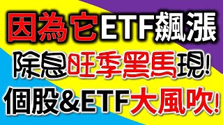 ETF0056、00878、00900、00915、00919、00701、00713、00731！除息旺季PK高配息！因為它成份股漲很大！【7月報表－CC字幕】｜我們這一家