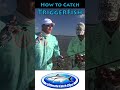 How To Catch Triggerfish