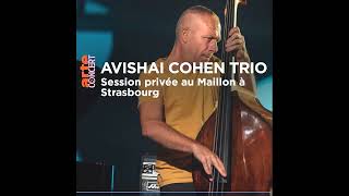 AVISHAI COHEN Trio au Théâtre du Maillon à Strasbourg