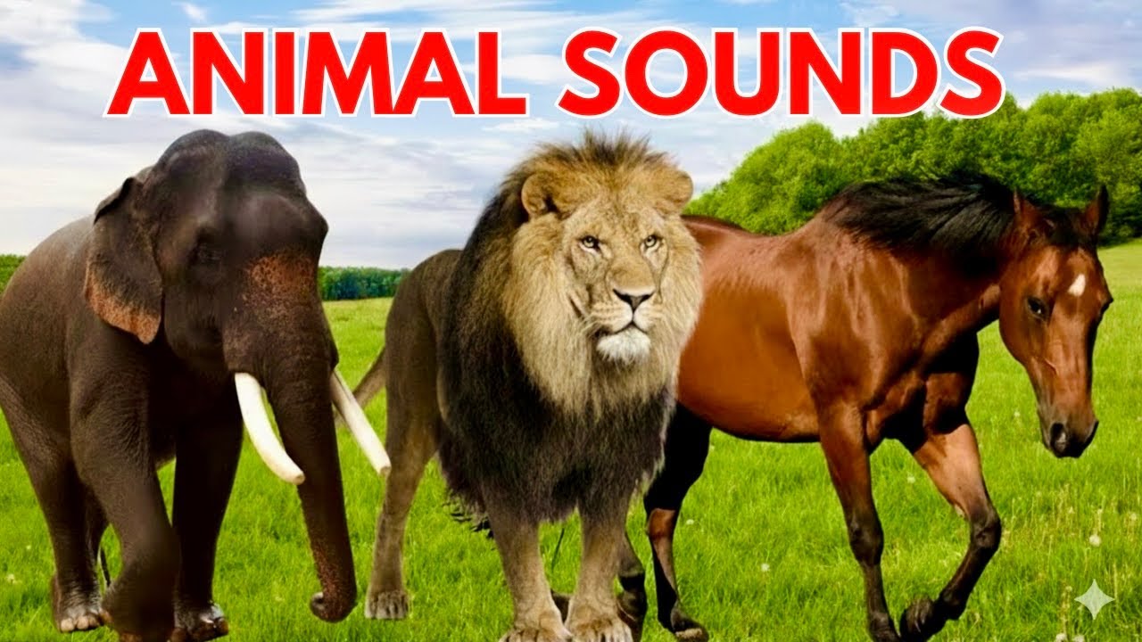 Animal Sounds for Children 🐴| 20 Amazing Animals to Learn 🐄| Names & Sounds for Toddlers