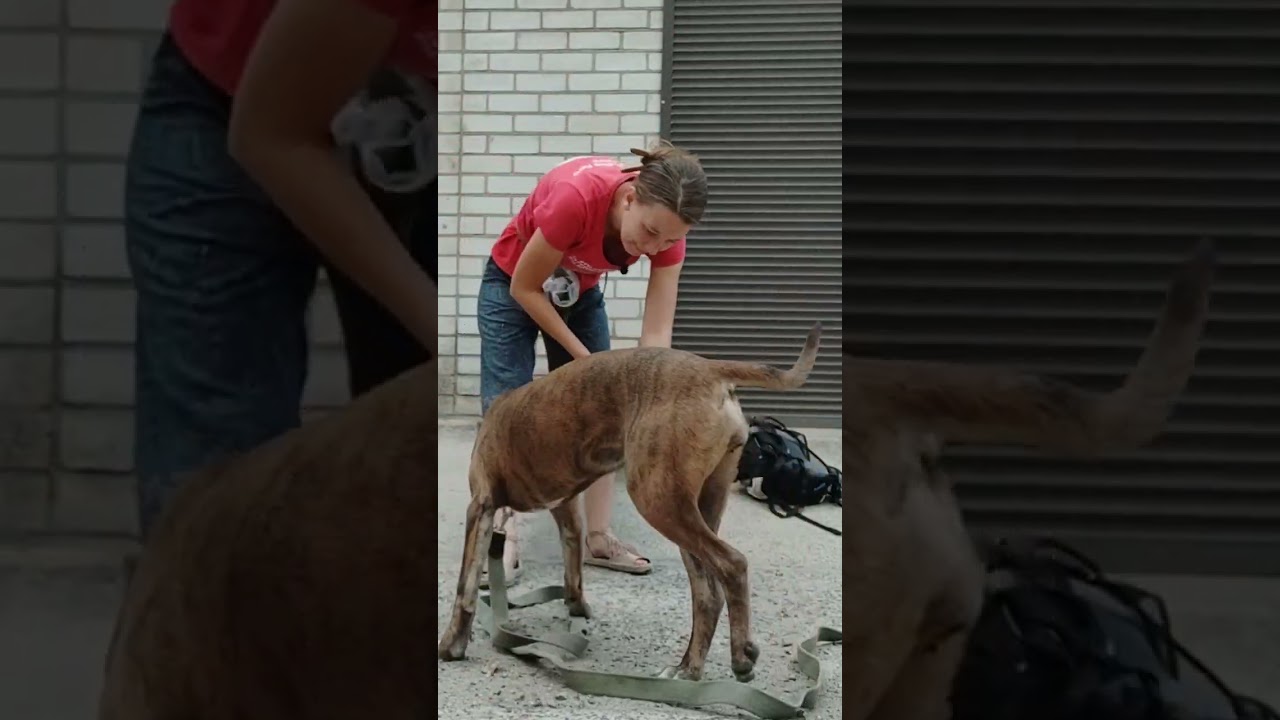 Адель, 6 місяців. Друге тренування 