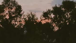 Aaditya Natarajan - NOIZECORE (feat. Apothecide)