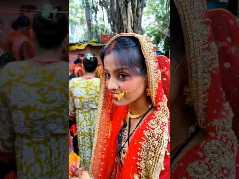 #vatsavitristatus #vatsavitripuja #ytshorts #youtubeshorts