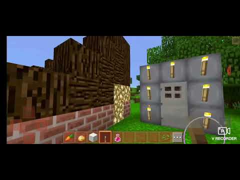 მშენებელი ნოე