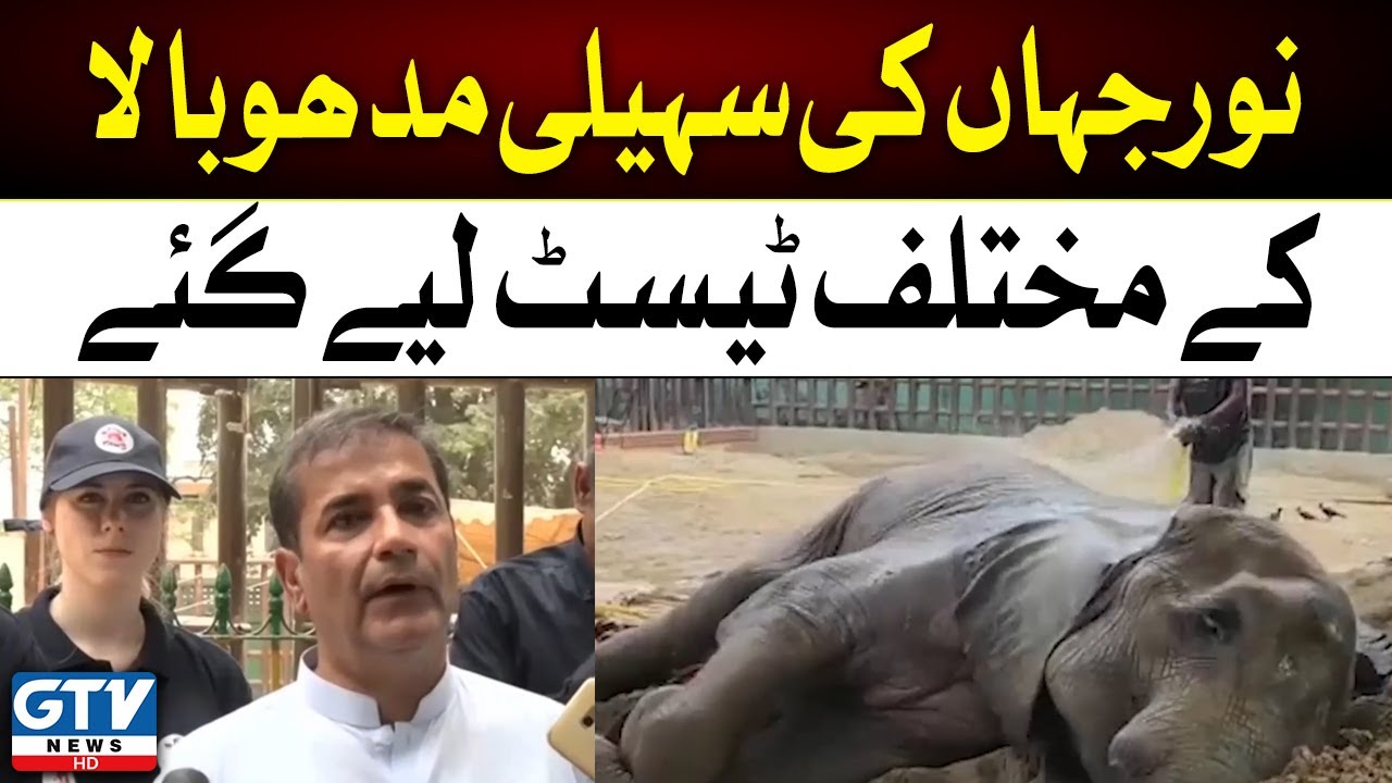 Breaking News | Noor Jahan Ki Sehli Madhubala ke Mukhtalif Test liye gaye | GTV News