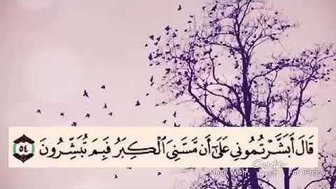تلاوه تريح الأعصاب المتوترة للقارئ هزاع البلوشي......((حالات واتساب +انستقرام))...