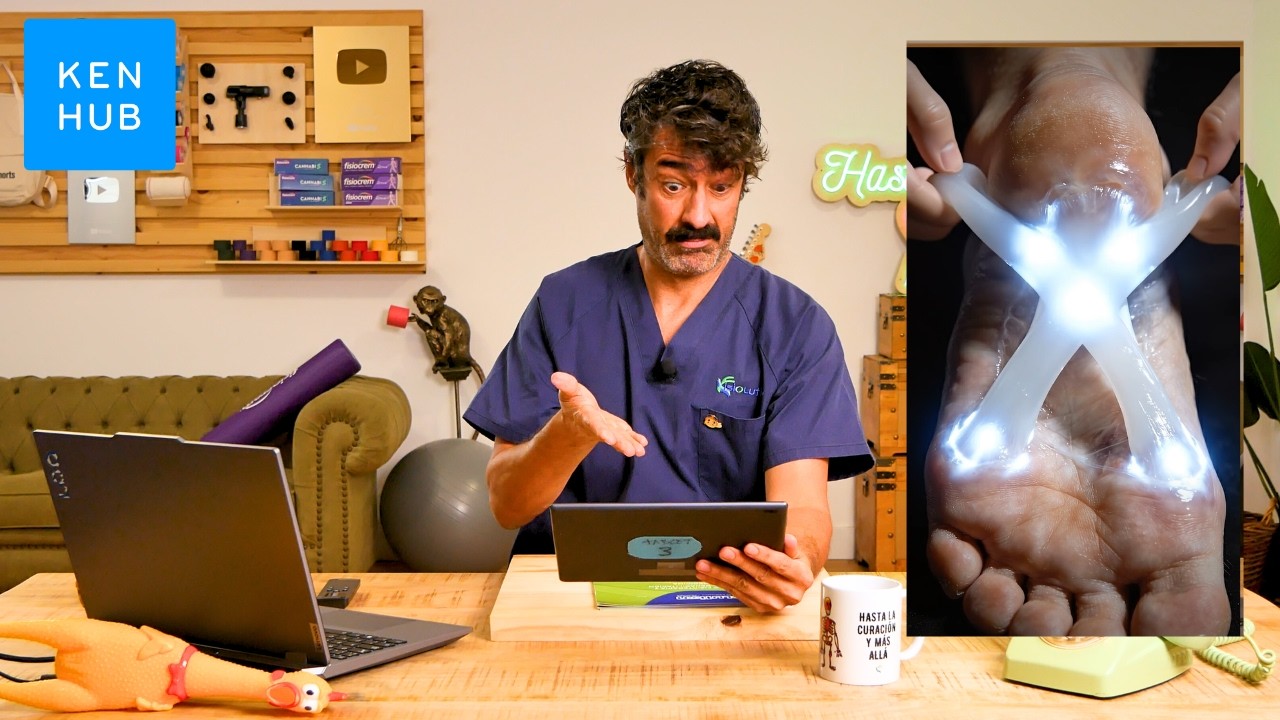 Kenhub vs Fake Anatomy: aprende anatomía real, fácil y segura