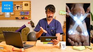 Kenhub vs Fake Anatomy: aprende anatomía real, fácil y segura