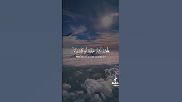 تلاوة من سورة النازعات لفضيلة الشيخ عكاشة كميني