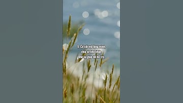 3 KHÔNG 9 CÓ TRONG CUỘC SỐNG  #baihoccuocsong #phattrienbanthan #kiemtienonline