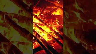 Raging Campfire with Crackling Wood ASMR #shorts