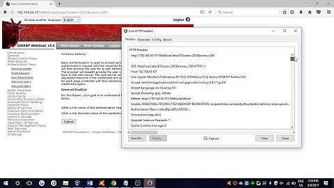 Owasp Goat Basic Authentication