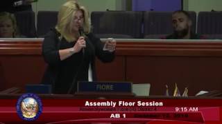 Assemblywoman Michelle Fiore takes the floor...