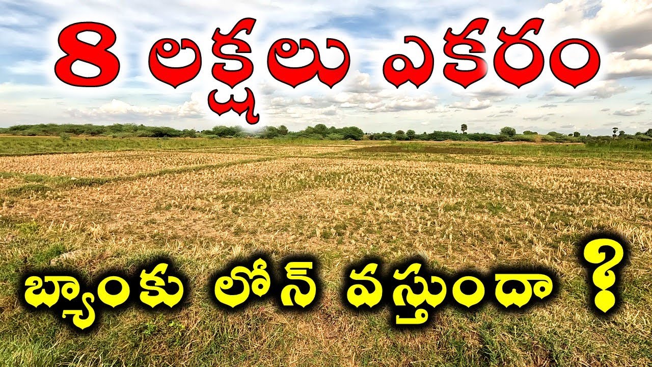 The TRUTH About Buying Agriculture Lands for sale in Telangana