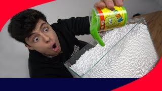 JOGUEI AMOEBA DENTRO DO AQUÁRIO CHEIO DE BOLINHA DE ISOPOR E O RESULTADO ME SURPREENDEU!