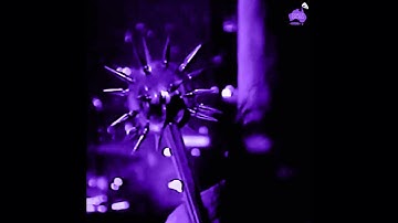 Bones - DejaVu [Chopped & Screwed] PhiXioN