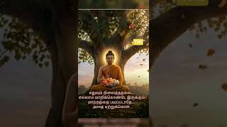 Change your thoughts, change your life   #Buddha #Motivation #Peace #Mindfulness #Shorts
