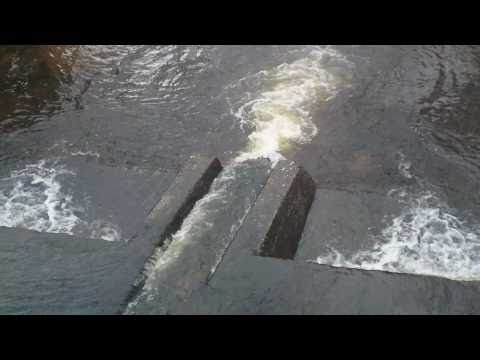 Salmon Run Ireland, Thawed HD