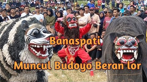 MB punya nie bos.. tari Banaspati, singo maruto, macan ontal|| Muncul budoyo beran lor