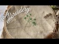 BEGINNERS GUIDE TO EMBROIDERY | Lazy Daisy and Back Stitch Cow Parsley Design