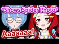 Baes aussie spider moment made suisei scream