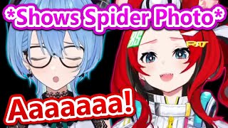 Bae's Aussie Spider Moment Made Suisei Scream...