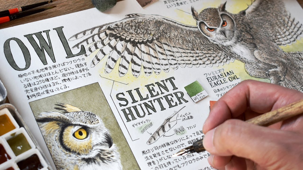 【イラスト図鑑】動物編『フクロウ』前編／メイキング、ペン画、水彩画／How to draw an owl