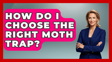 How Do I Choose The Right Moth Trap? - Insects and Invaders