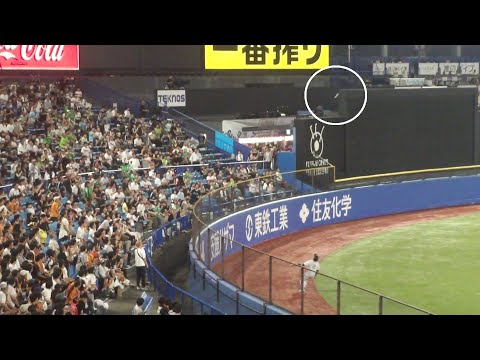 ヤクルト 並木秀尊 スリーベースヒット　ヤクルト vs 巨人　2025年9月18日(木)　神宮球場