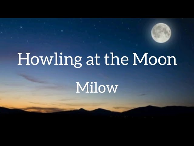 Watch Milow - Howling at the Moon on YouTube