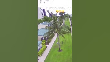 Another drone crash.  Think I need a @dji mini pro 3 and obstacle avoidance.