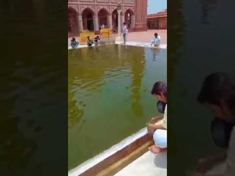 Video: Deli Jama Masjid mošeja: pilnīga rokasgrāmata