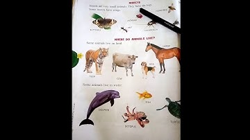 Class-1 EVS Chapter-3 The Animal World