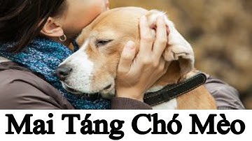 Dịch vụ mai táng chó mèo Hà Nội,Dịch vụ mai táng thú cưng TPHCM,Mai táng thú cưng, Mai táng chó mèo