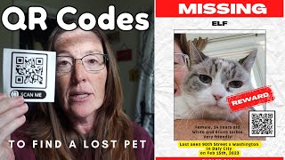 Using Qr Codes To Find A Lost Pet 3 Ways