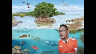 GEOGRAFI TINGKATAN 3 BAB 10 SUMBER HUTAN BAHAGIAN 1